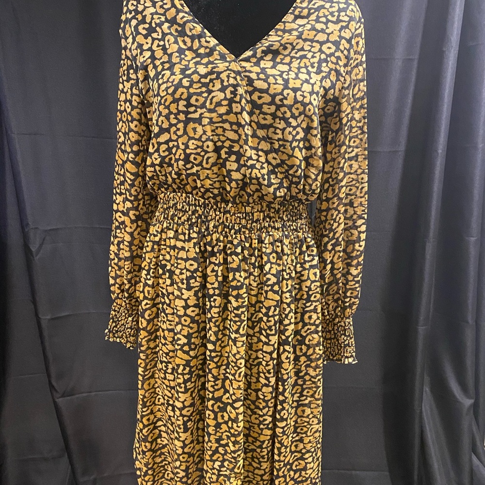Women’s dress